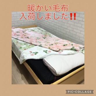 新商品入荷しました‼️