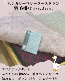 羽毛ふとんの季節です❣️
