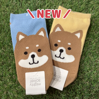 シバイヌ新しく仲間入り🐶🐾