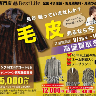 🔥⭐️眠られている毛皮、ございませんか？？⭐🔥